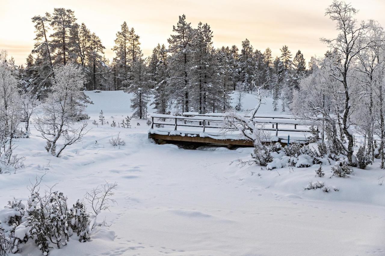 Polar Aurora Cabins ساريسيلكا المظهر الخارجي الصورة